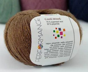 Шкарпеткова пряжа Cool Wool Perfomance № 226 - коричневий Кул Вул Перфоманс WB00417 фото