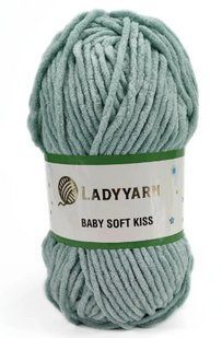 Пряжа Baby Soft Kiss Lady Yarn SL1005 плюшова велюрова пряжа WB01719 фото