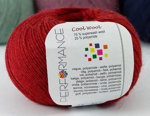 Шкарпеткова пряжа Cool Wool Perfomance № 20 - бордо Кул Вул Перфоманс WB00406 фото