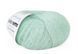 Мохер на шовку Silk Mohair №30793 - салатовий Сілк Мохер LANA GATTO (Італия) WB01636 фото 1