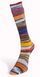 Пряжа Eclectic Sock Laines du Nord для шкарпеток (Італія) МУЛЬТІКОЛОР № 02 / Еклектик Сокс WB00382 фото 2