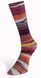 Пряжа Eclectic Sock Laines du Nord для шкарпеток (Італія) МУЛЬТІКОЛОР № 04 / Еклектик Сокс WB00399 фото 2