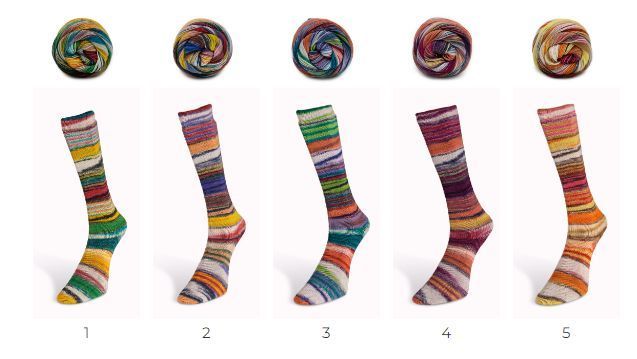 Пряжа Eclectic Sock Laines du Nord для шкарпеток (Італія) МУЛЬТІКОЛОР № 04 / Еклектик Сокс WB00399 фото