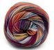 Пряжа Eclectic Sock Laines du Nord для шкарпеток (Італія) МУЛЬТІКОЛОР № 04 / Еклектик Сокс WB00399 фото 1