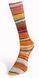 Пряжа Eclectic Sock Laines du Nord для шкарпеток (Італія) МУЛЬТІКОЛОР № 05 / Еклектик Сокс WB00400 фото 2
