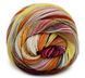 Пряжа Eclectic Sock Laines du Nord для шкарпеток (Італія) МУЛЬТІКОЛОР № 05 / Еклектик Сокс WB00400 фото 1