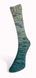 Пряжа Laines du Nord Paint Gradient Sock для шкарпеток (Італія) МУЛЬТІКОЛОР № 20 WB00395 фото 2