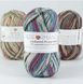 Пряжа для шкарпеток Sockwool Prime Multi мультиколор № 2 WB00364 фото 4