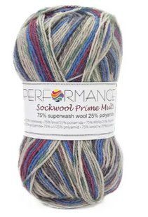 Пряжа для шкарпеток Sockwool Prime Multi мультиколор № 3 WB00365 фото