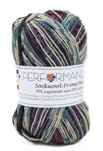 Пряжа для шкарпеток Sockwool Prime Multi мультиколор № 3.1 WB00366 фото