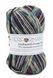 Пряжа для шкарпеток Sockwool Prime Multi мультиколор № 3.1 WB00366 фото 1