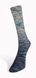 Пряжа Laines du Nord Paint Gradient Sock для шкарпеток (Італія) МУЛЬТІКОЛОР № 22 WB00398 фото 2