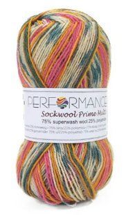 Пряжа для шкарпеток Sockwool Prime Multi мультиколор № 5 WB00368 фото