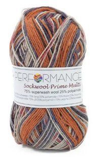 Пряжа для шкарпеток Sockwool Prime Multi мультиколор № 15 WB00370 фото