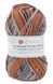 Пряжа для шкарпеток Sockwool Prime Multi мультиколор № 15 WB00370 фото 1