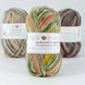 Пряжа для шкарпеток Sockwool Prime Multi мультиколор № 15 WB00370 фото 5