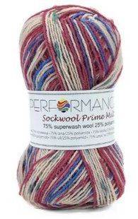 Пряжа для шкарпеток Sockwool Prime Multi мультиколор № 19 WB00371 фото
