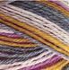 Пряжа для шкарпеток Sockwool Prime Multi мультиколор № 17502 WB00373 фото 2