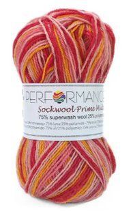 Пряжа для шкарпеток Sockwool Prime Multi мультиколор № 17517 WB00375 фото