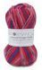 Пряжа для шкарпеток Sockwool Prime Multi мультиколор № 17520 WB00376 фото 1