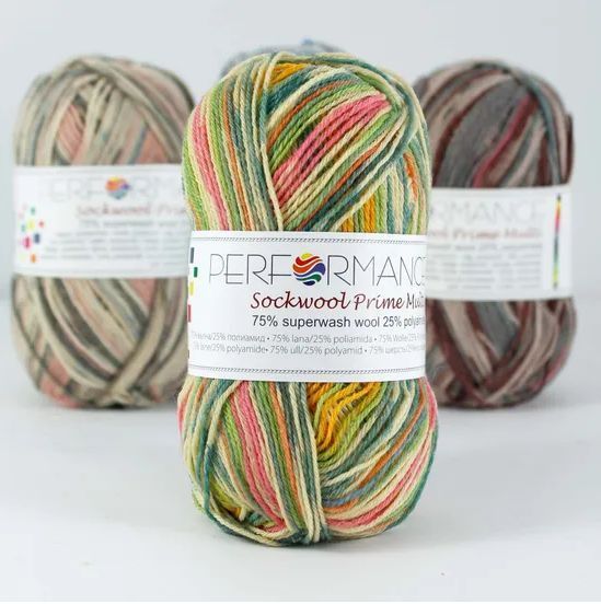 Пряжа для шкарпеток Sockwool Prime Multi мультиколор № 17520 WB00376 фото