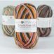 Пряжа для шкарпеток Sockwool Prime Multi мультиколор № 17523 WB00378 фото 6