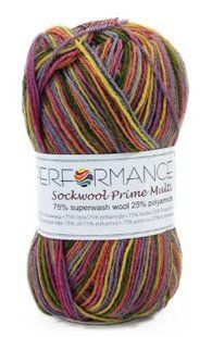 Пряжа для шкарпеток Sockwool Prime Multi мультиколор № DO_061 WB00379 фото