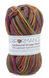 Пряжа для шкарпеток Sockwool Prime Multi мультиколор № DO_061 WB00379 фото 1