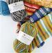 Пряжа для шкарпеток Sockwool Prime Multi мультиколор № DO_061 WB00379 фото 7