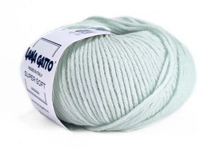 Super Soft № 5281 - м'ята мериносова пряжа для в"язання Супер Софт Lana Gatto Італія WB01258 фото