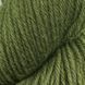 Мериносова пряжа Falkland Worsted Etrofil № 74180 авокадо нитки для в"язання Форкленд Ворстед WB00735 фото 2